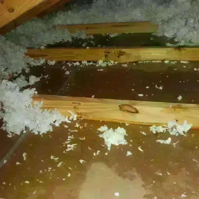 Attic Water Damage in Patten, ME